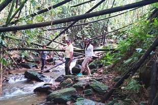 Pasadía - Rancho Los Leones - La Vega, Cundinamarca - image - 9
