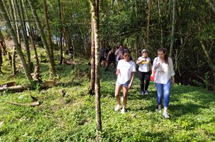 Pasadía - Rancho Los Leones - La Vega, Cundinamarca - image - 3