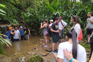 Pasadía - Rancho Los Leones - La Vega, Cundinamarca - image - 5