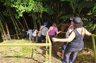 Pasadía - Rancho Los Leones - La Vega, Cundinamarca - image - 2