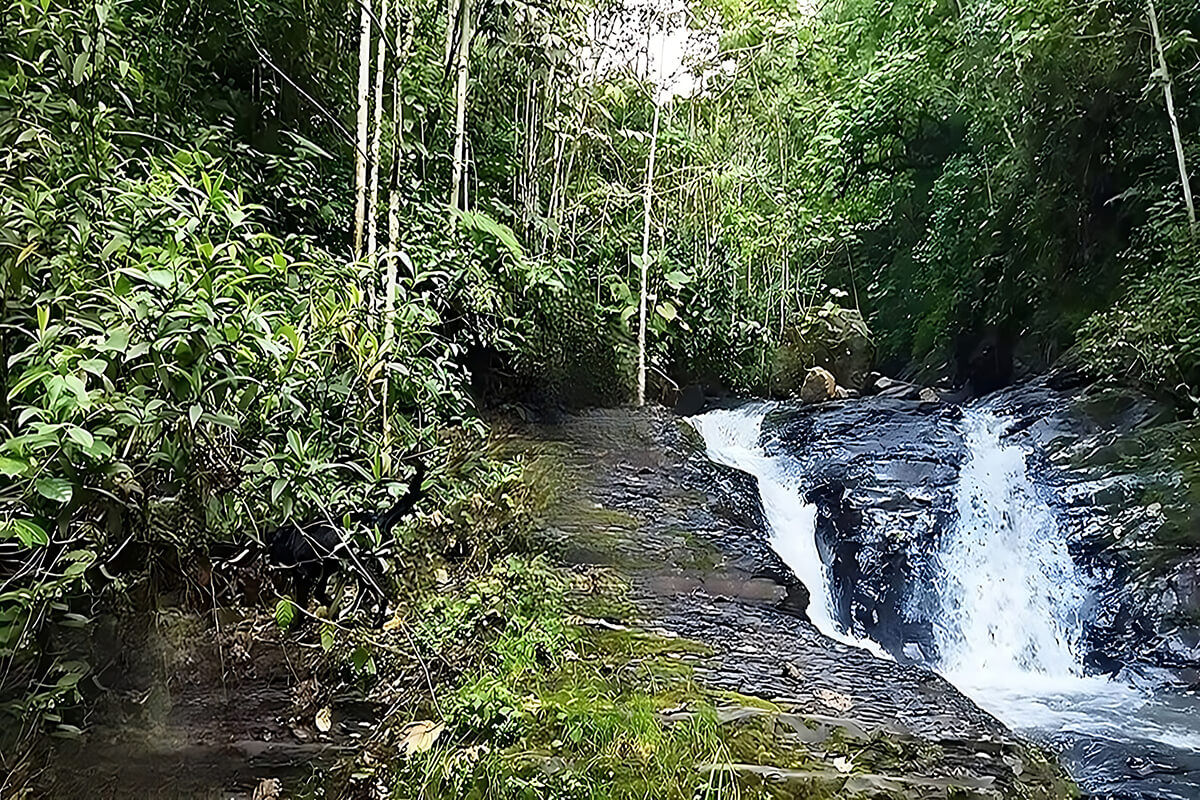Pasadía en la Naturaleza