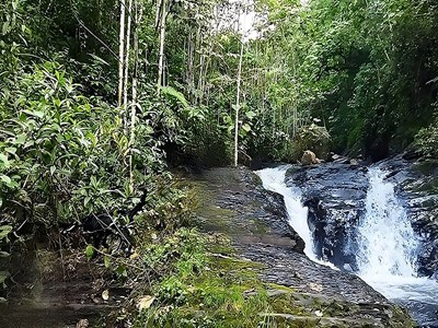 Rancho Los Leones - La Vega, Cundinamarca - image - 9